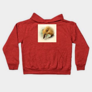 Coati Kids Hoodie